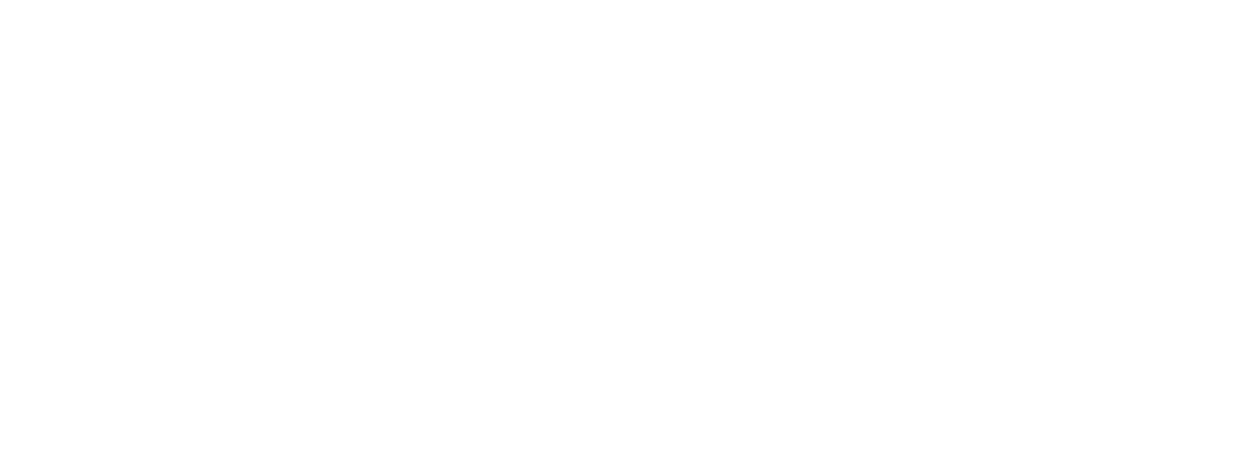 logo_2